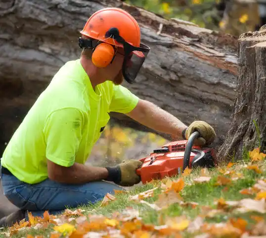 tree services Iberia